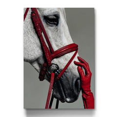 Equestrian Horse and Red Leather Bridle