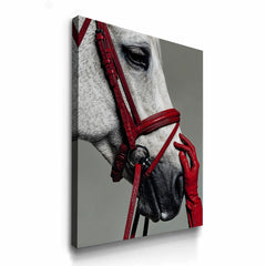 Equestrian Horse and Red Leather Bridle