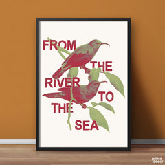 Palestine Sunbirds in Bloom | Heritage & Hope | Poster Wall Art