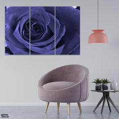 Beautiful Abstract Purple Flower (3 Panel) Floral Wall Art - Prime Décor