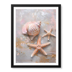 Beautiful Star Shape Seashells On The Beach | Abstract Nature Artwork #00544