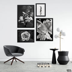 Daylilies & Rose Grayscale B&W Luxury (4 Panel) Floral Wall Art