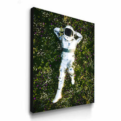 Stargazing From The Meadows