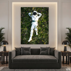 Stargazing From The Meadows