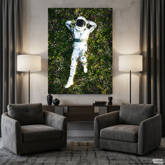 Stargazing From The Meadows