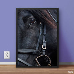 Black Horse Face Closeup | Animal Poster Wall Art - Prime Décor