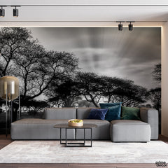 Grey Forest Wall Background | Forest Wallpaper Mural - Prime Décor