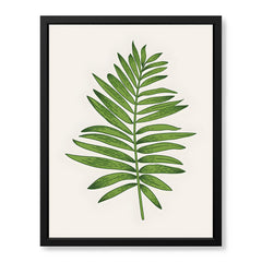 Light Green Tropical Leaves Floral Design | Abstract Floral Artwork #0028