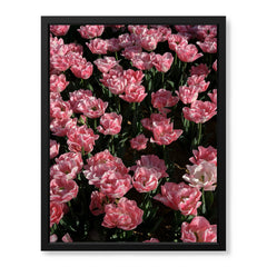 Beautiful Pink Flowers In Field Over Green Background | Abstract Floral Artwork #00451
