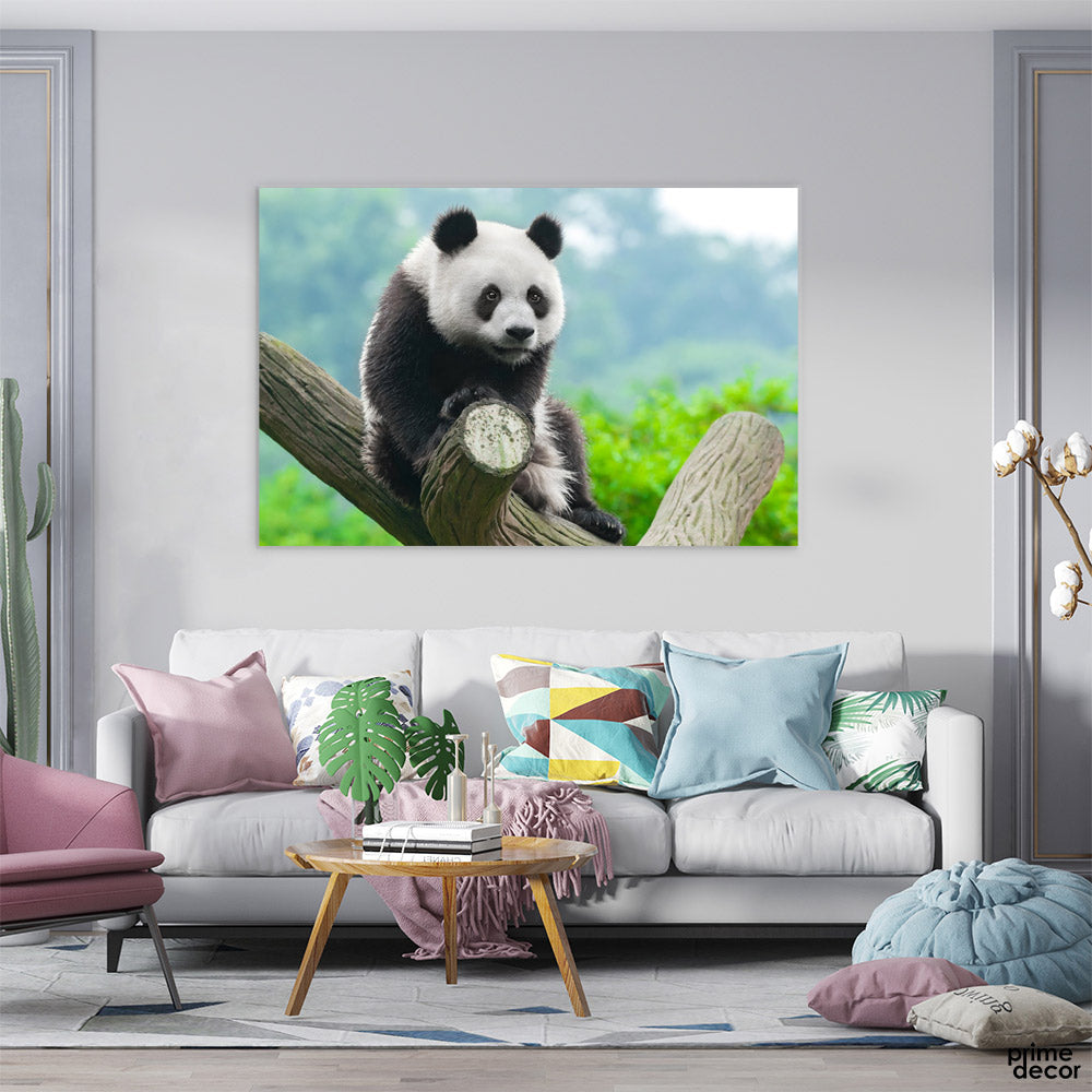Panda in Zoo (Single Panel) Animal Wall Art - Prime Décor