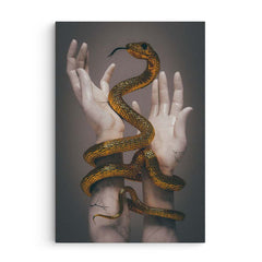 Snake charm