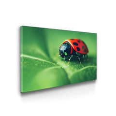 LADYBUG - Prime Décor