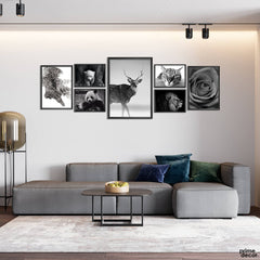 Attractive Animals in B&W Collection (7 Panel) Animal Wall Art - Prime Décor