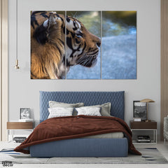 Head of Bengali Tiger (3 Panel) Animal Wall Art - Prime Décor