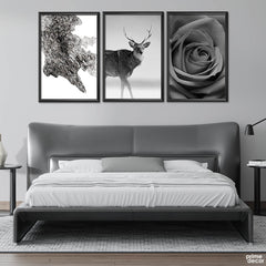 Jane Black & White Contrast (3 Panel) Nordic Wall Art - Prime Décor