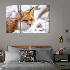 Red Fox in Canada (3 Panel) Movie Wall Art - Prime Décor