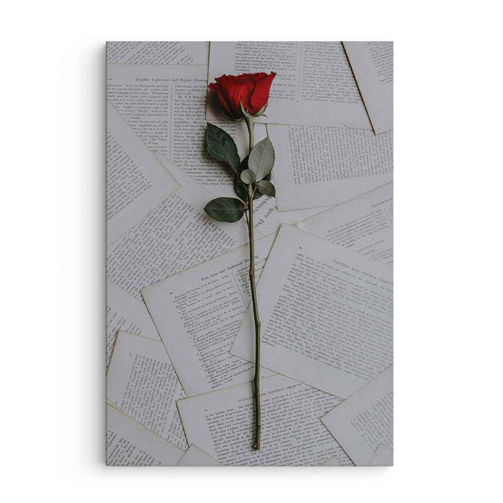 Rosey - Prime Décor