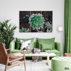 Succulant Plant (3 Panel) Floral Wall Art - Prime Décor