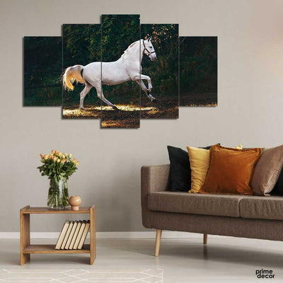 African Horse Breeds (5 Panel) Animal Wall Art - Prime Décor