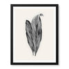 Black & White Tropical Leaves On Grey Background | Abstract Floral Artwork #0034