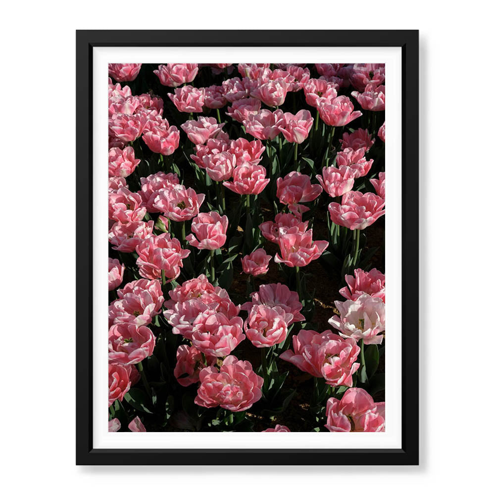 Beautiful Pink Flowers In Field Over Green Background | Abstract Floral Artwork #00451 - Prime Décor