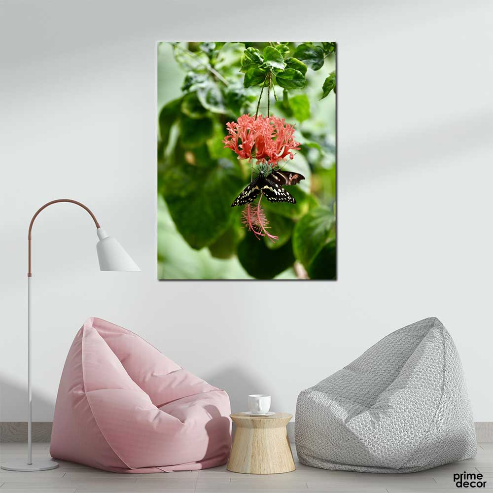 Red Lacewing And Butterfly (Single Panel) Nature Wall Art - Prime Décor