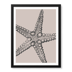 Black & White Starfish Artwork Over Beige Background | Abstract Fashion Artwork #00575