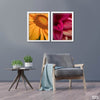 Yellow & Pink Combination (2 Panel) Floral Wall Art