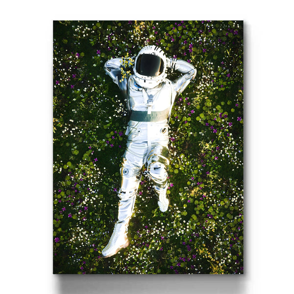 Stargazing From The Meadows