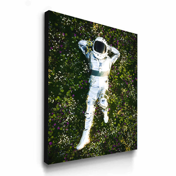 Stargazing From The Meadows