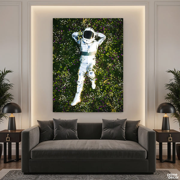 Stargazing From The Meadows