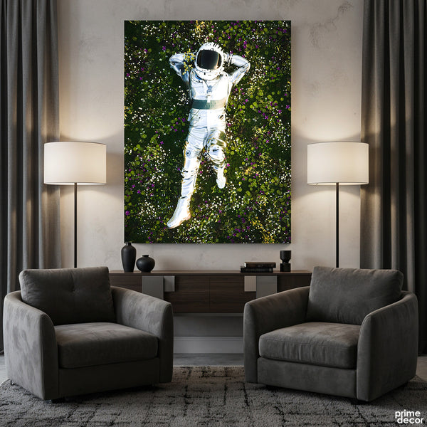 Stargazing From The Meadows