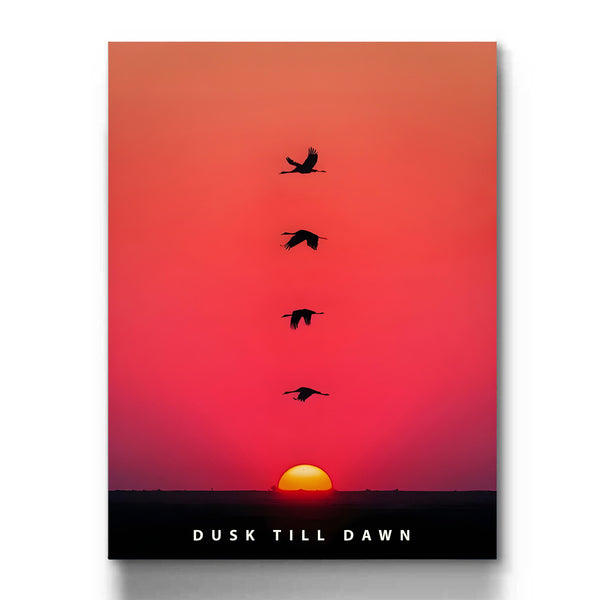 Dusk Till Dawn