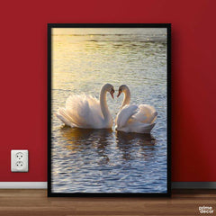 Cute & Mute Swan | Birds Poster Wall Art - Prime Décor