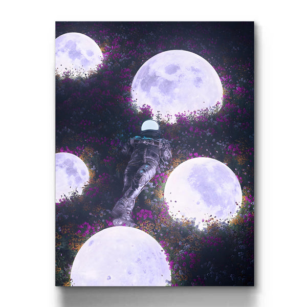 Field of Celestial Blooms