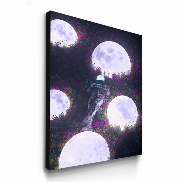 Field of Celestial Blooms