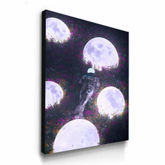 Field of Celestial Blooms