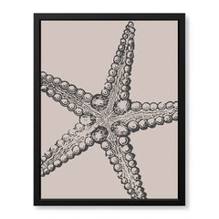 Black & White Starfish Artwork Over Beige Background | Abstract Fashion Artwork #00575