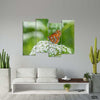 Butterfly of Temperate Asia (4 Panel) Floral Wall Art