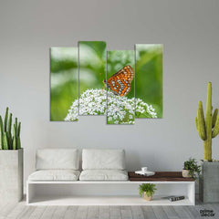 Butterfly of Temperate Asia (4 Panel) Floral Wall Art - Prime Décor