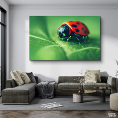 LADYBUG - Prime Décor