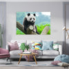 Panda in Zoo (Single Panel) Animal Wall Art