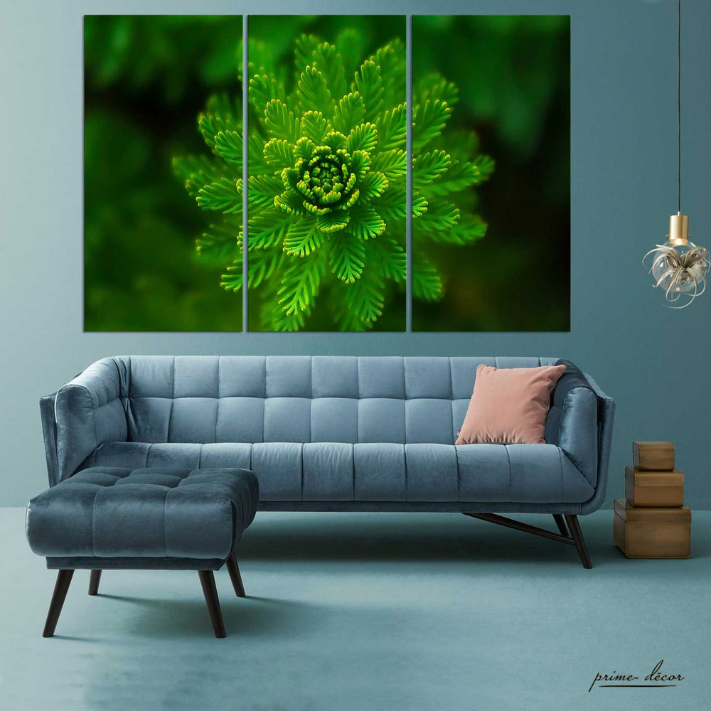 Algae Plant Macro (3 Panel) Floral Wall Art - Prime Décor
