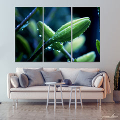 Dewdrops On Flower Macro (3 Panel) Floral Wall Art - Prime Décor