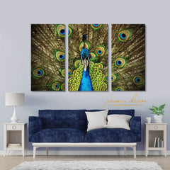 Peacocks (3 Panel) Animal Wall Art - Prime Décor