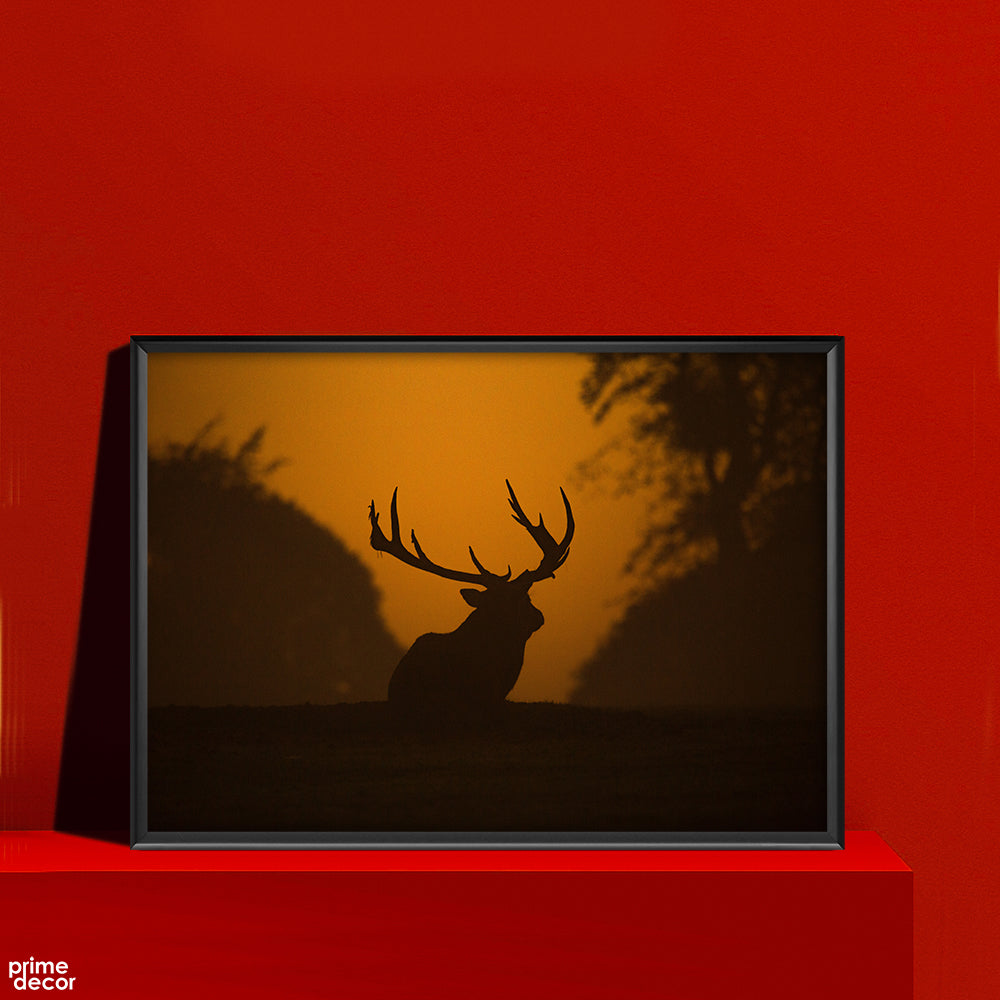 Wild Deer & Forest  | Animal Poster Wall Art - Prime Décor