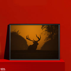 Wild Deer & Forest  | Animal Poster Wall Art - Prime Décor