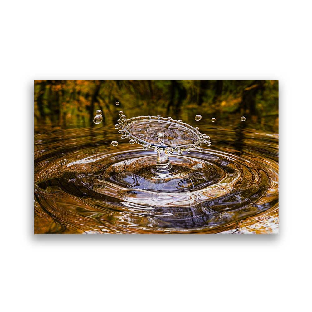 Splash Water - Prime Décor
