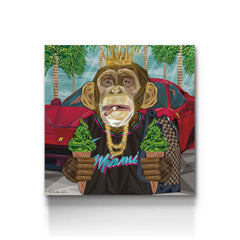 Rich Monkey - Prime Décor